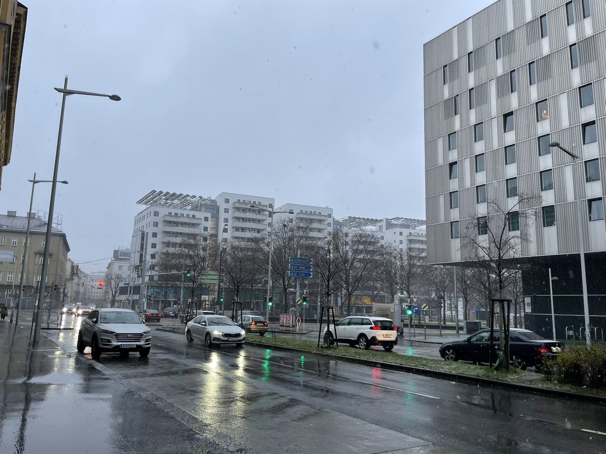 leafhappaaa's tweet image. 外出たら雪☃️