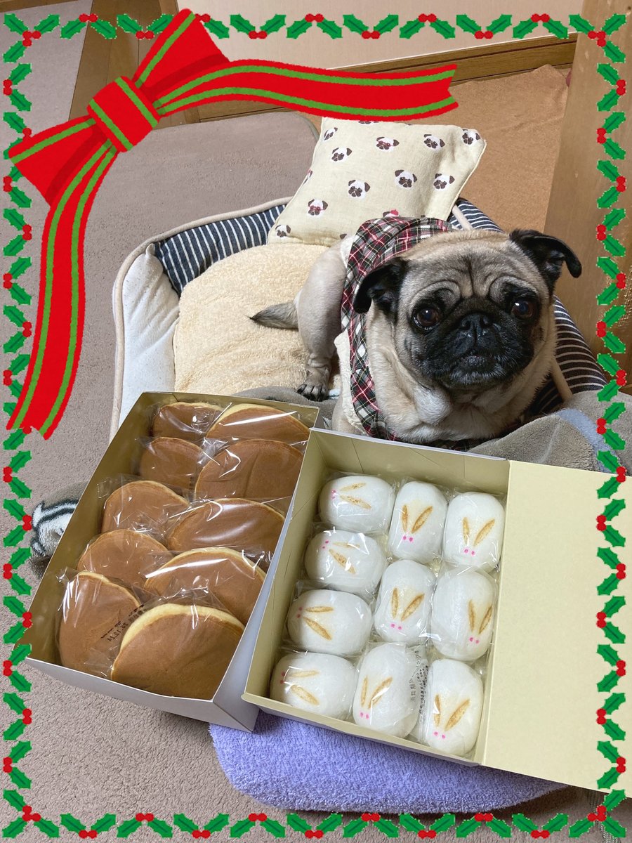 コロ助 コロ助 - Wikipedia