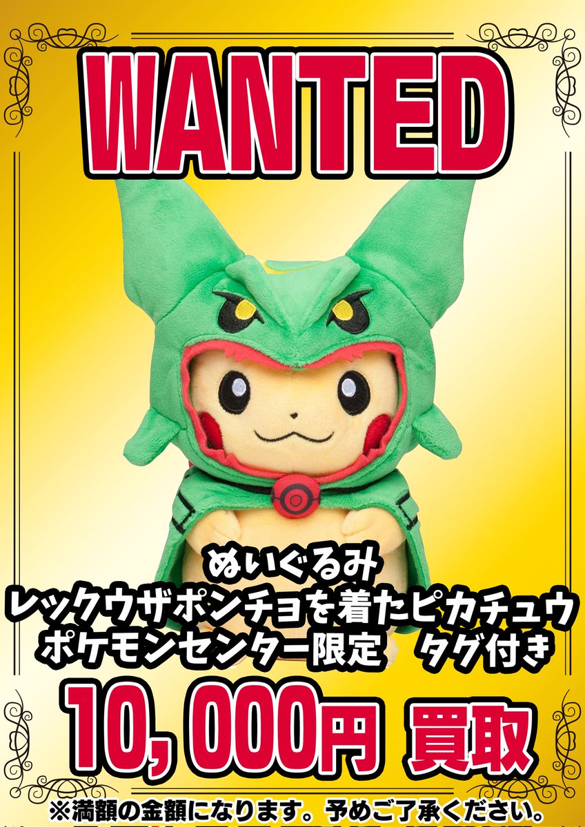 📣📣🚨 WANTED 🚨📣📣 ・ぬいぐるみ レックウザポンチョを着た