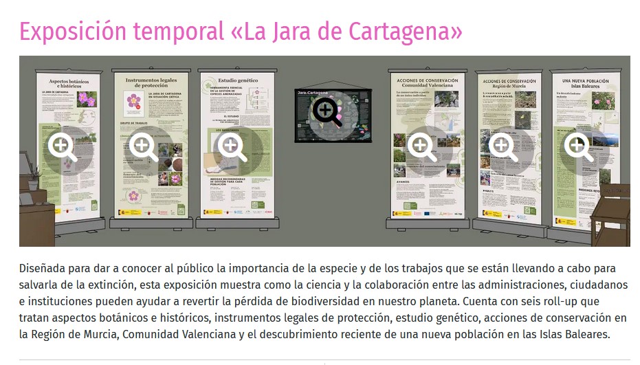 Jara de Cartagena tweet media