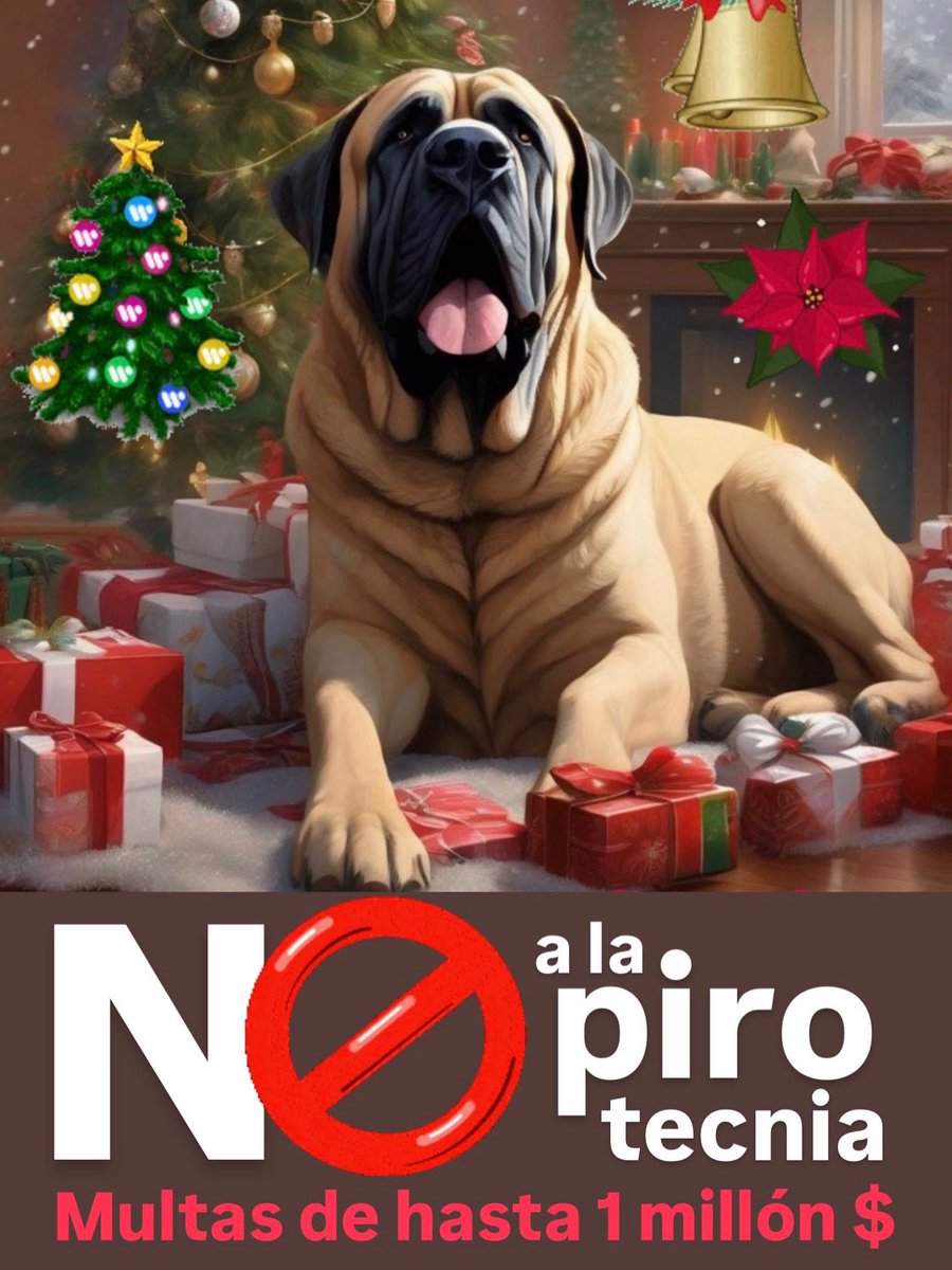 Nikgaturro's tweet photo. Prohibida la pirotecnia sonora que afecta la salud de personas mayores, personas con TEA, mascotas y altera el ecosistema urbano. 🇦🇷🇦🇷🇦🇷🇦🇷🇦🇷🇦🇷🇦🇷🇦🇷🇦🇷🇦🇷🌞🌞🌞🌞🌞🌞🌞🌞🌞🌞
Feliz Navidad, en paz. 🎄❤️ @JMilei https://t.co/CQWgvRBT5c