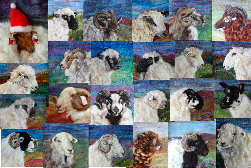UllswaterFelt's tweet photo. 2/2 #advent #24 #Beulahspeckledface #swaledale #Herdwick #Wiltshirehorn #ryeland #Norfolkhorn #devonandcornwalllongwool https://t.co/0P6MLcYKye https://t.co/2P0sesE7Jj