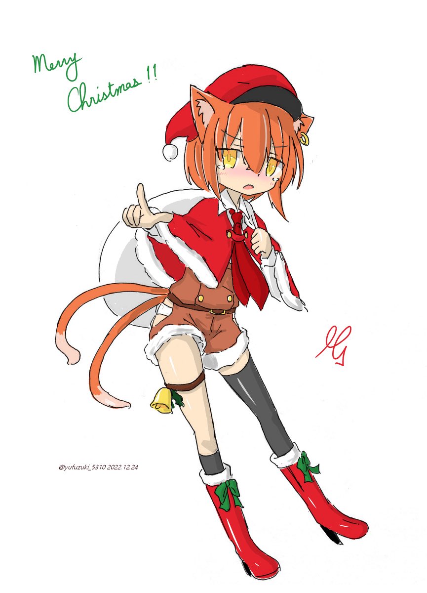 クリスマスうちのこ再掲