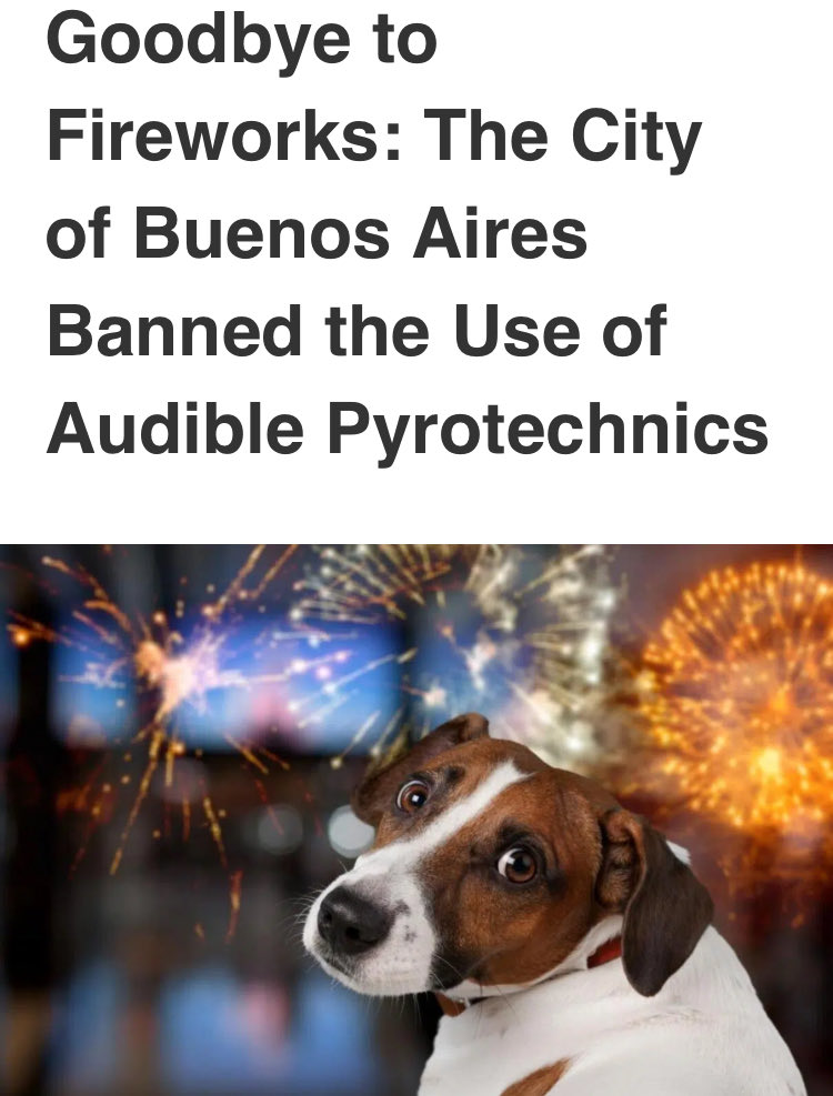 fireworkreform's tweet image. This is how enlightened politicians in Argentina are dealing with #fireworks - by banning them in their capital city for New Year celebrations. 

As this article reveals, the goal is for the end-of-year festivities to be enjoyed without risking health.

As stated in Article 26 of…