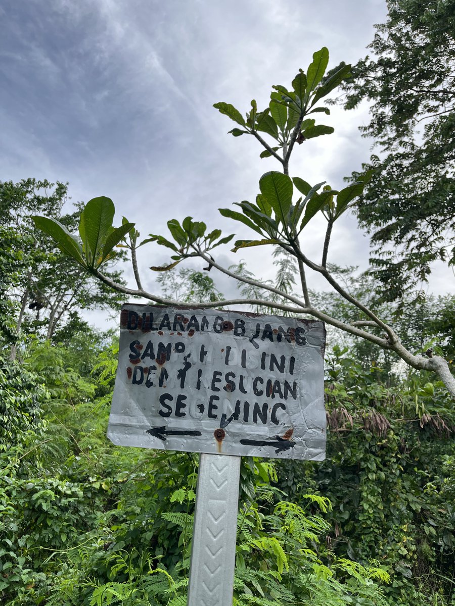 Fernando Situmorang tweet media