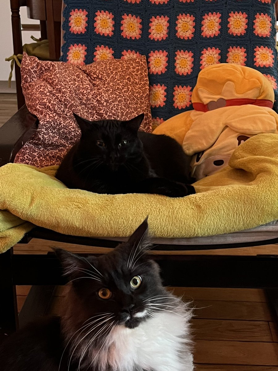 god shave the gouine tweet media