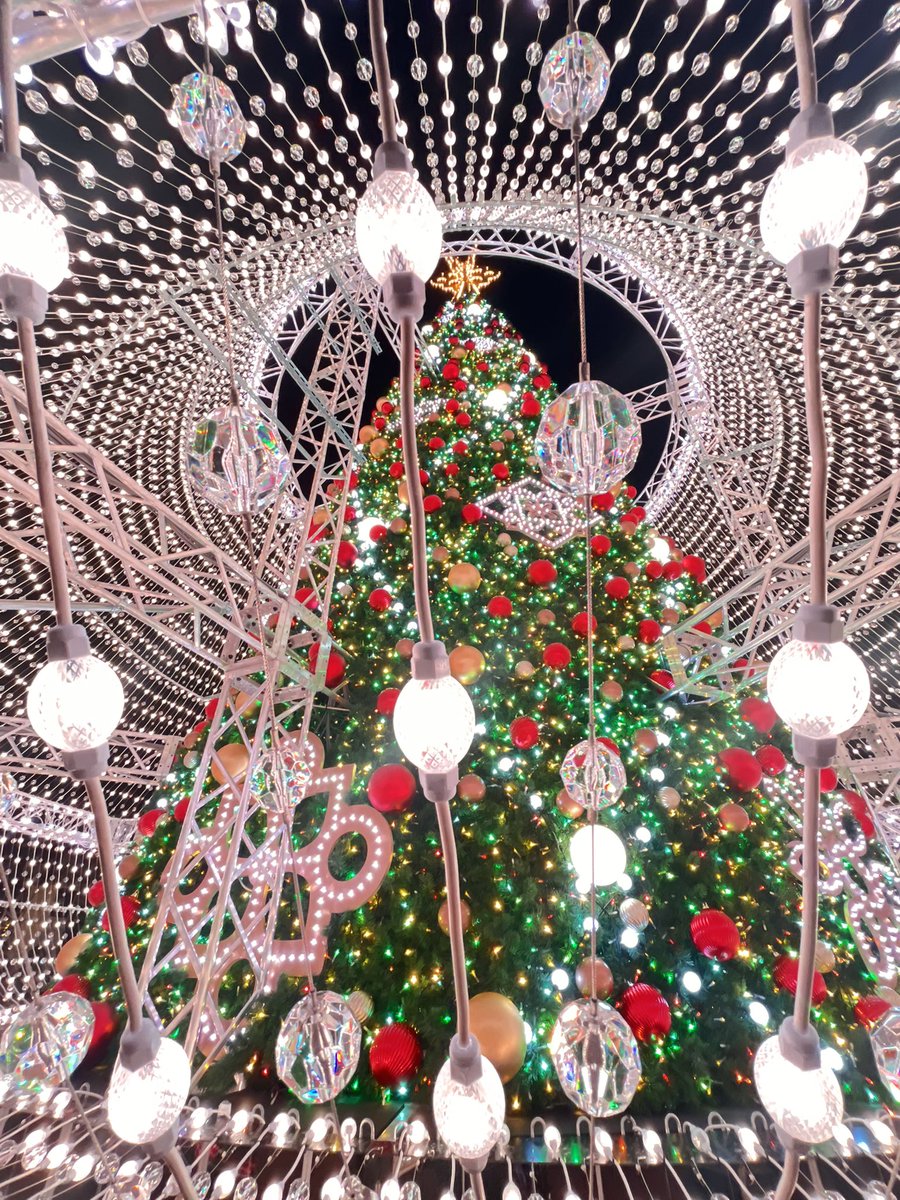 kawa_352's tweet photo. ハウステンボスに20年ぶりに行ったんだけど、パーク中がキラキラのクリスマス🎄ですごくよかった。 https://t.co/JgTL5Pdy19