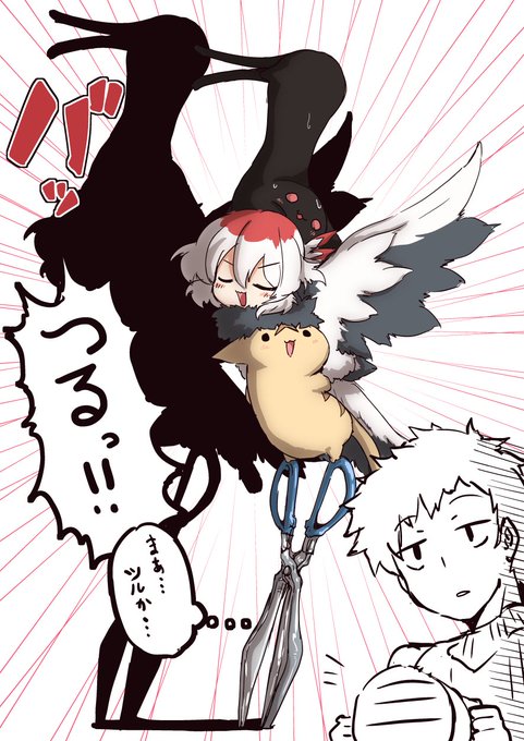 今日の日課はふぁんてぃあぷらんからうちのこクロネコとりちゃんジョギリネコの組体操です 