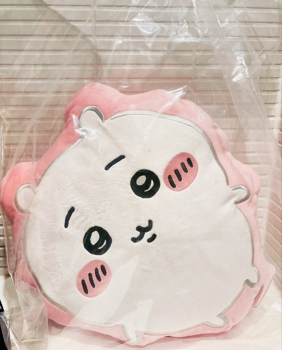 pika 購入の際一言下さい☻♪さま専用です いいかキッズ、これが大人だ (金に物を言わせ6回やった)