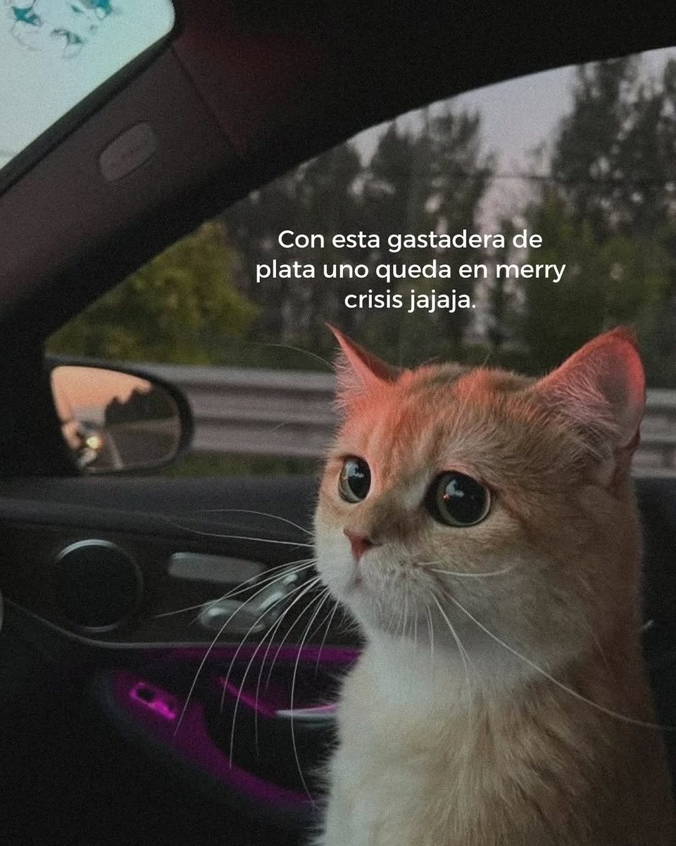 LetrasVirales🛸 (@letrasvirales) on Twitter photo 