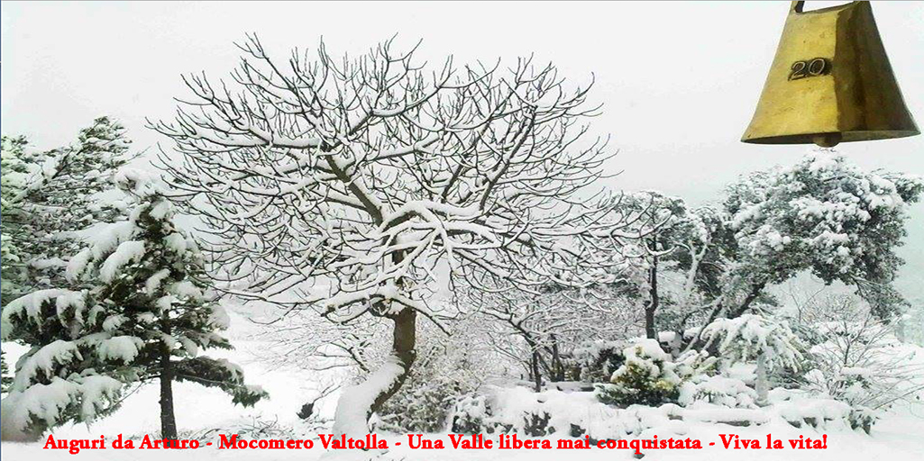 Shalom – Shalom - Peace - Мир - Pace