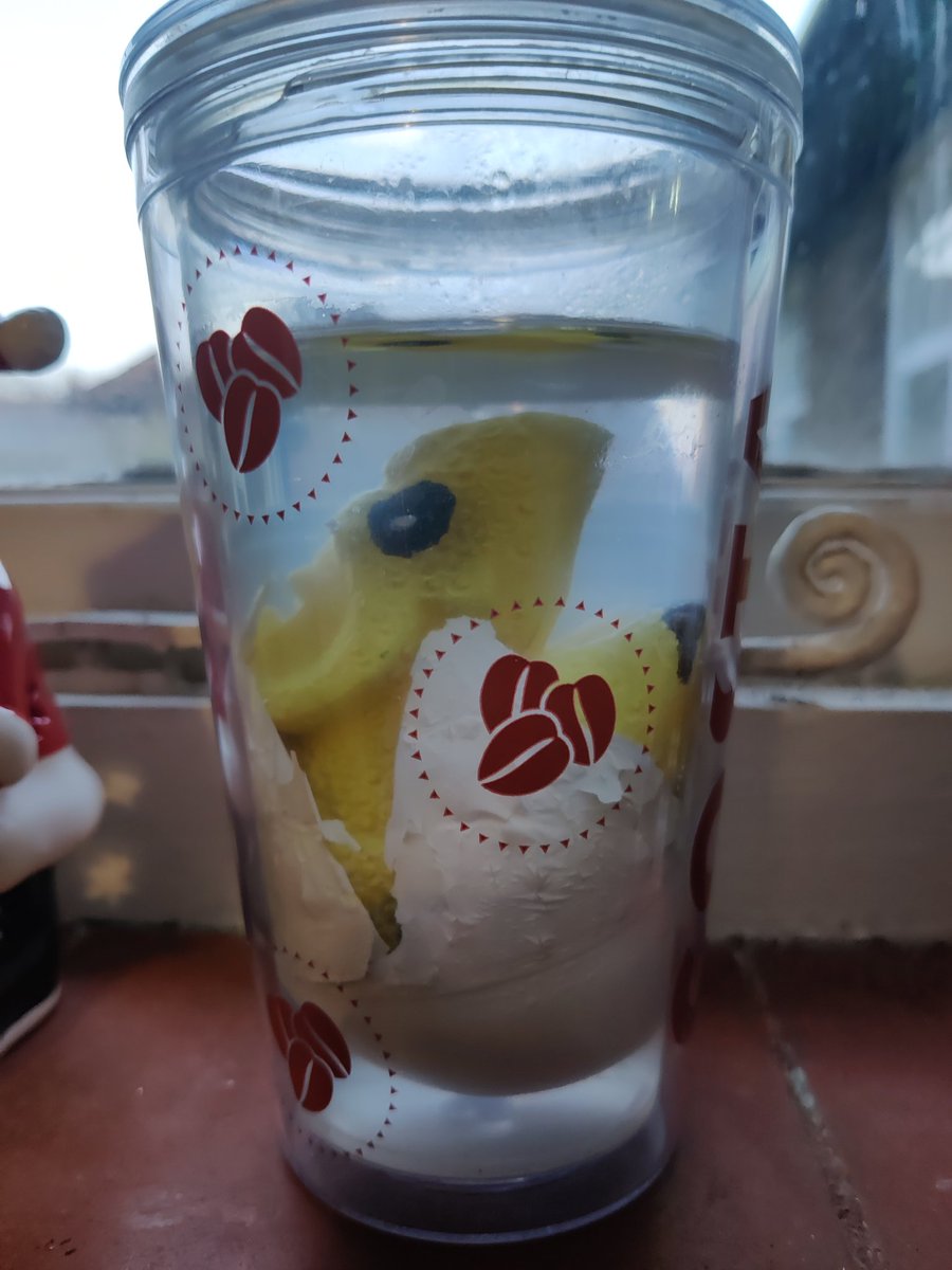 CoffeeGnom tweet media