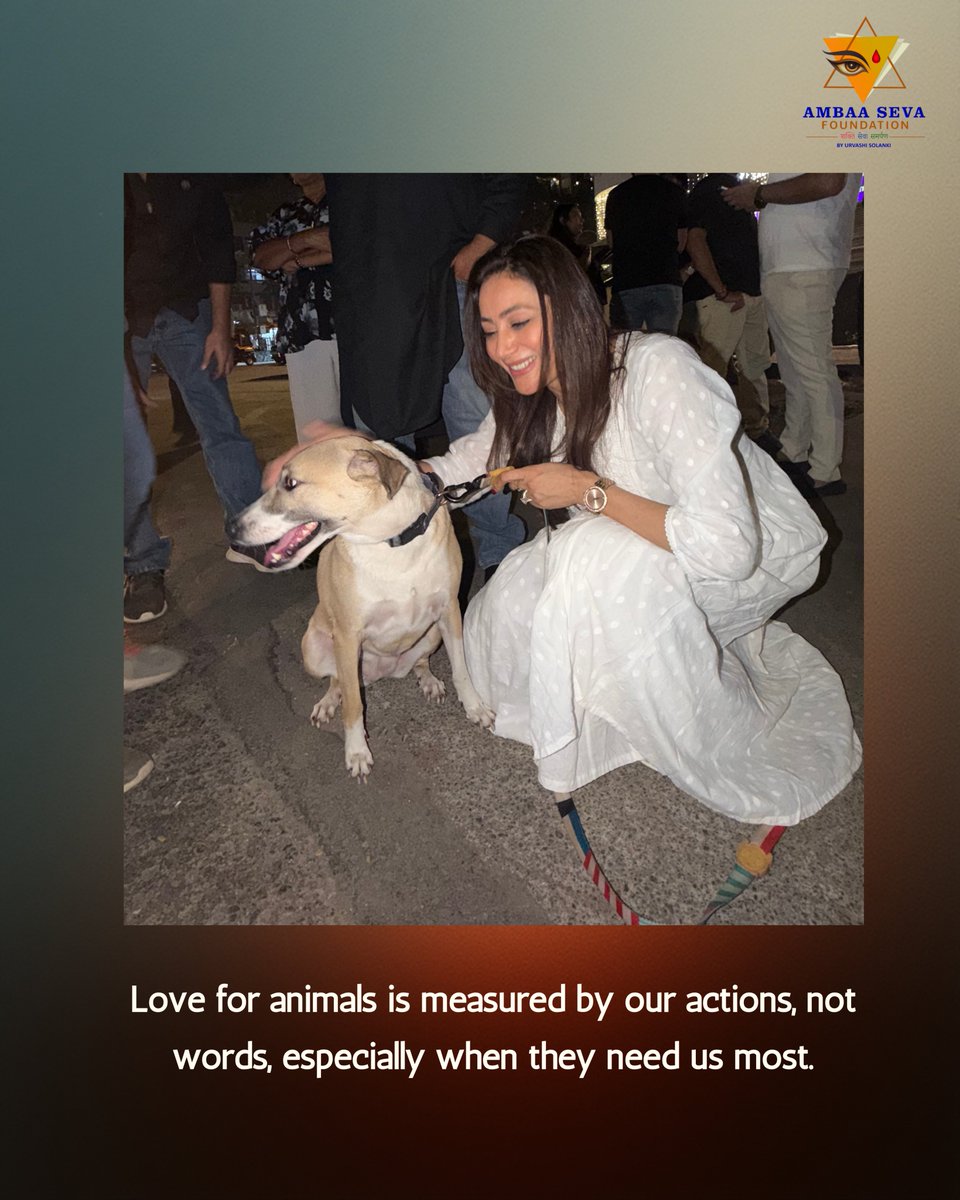 ambaasevafdn's tweet photo. If compassion had a face, it would look like this. 🐾
Citizens came together to speak for stray dogs and demand humane, lawful solutions.
Urvashi Solanki joined the march to remind us—silence is no longer an option.
Stand up. Speak out. Protect the voiceless.
#JusticeForStrays https://t.co/jvNVvv8obx