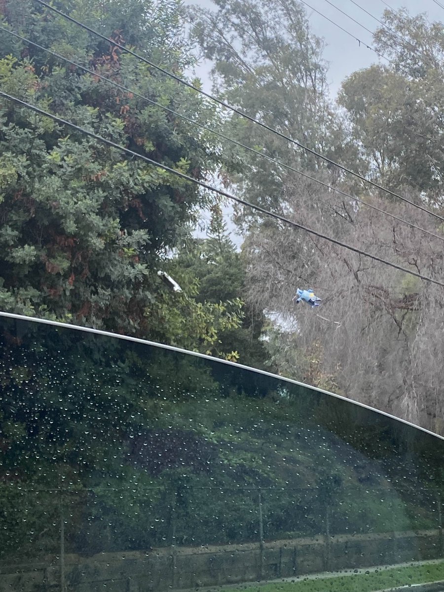 hoonflixs's tweet photo. gave two to our group of guy friends just so we can both split them in the trunk and they somehow lost them within 10 minutes 😭😭 https://t.co/eiQLx71FoX