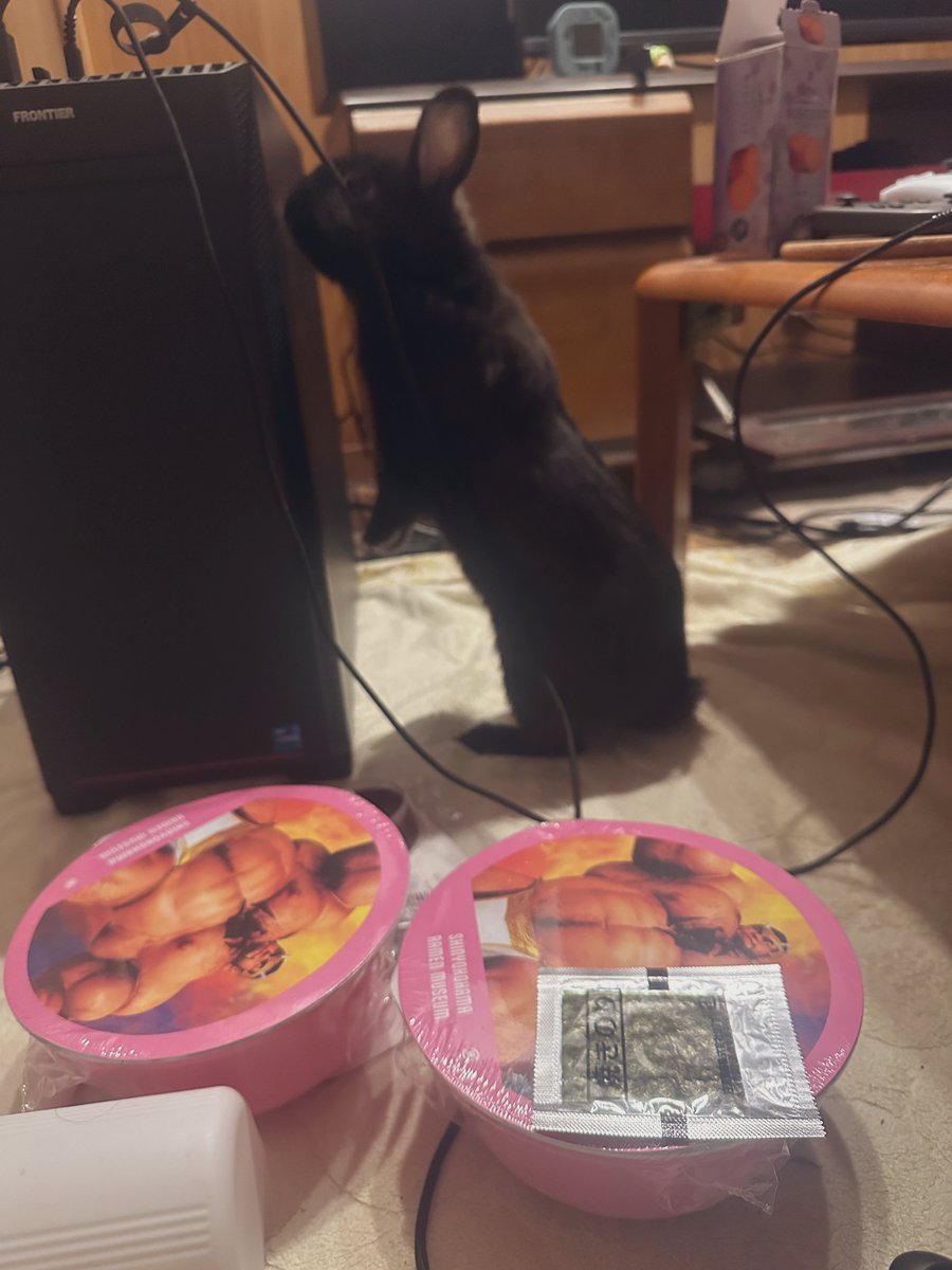 ホームセンター行ったら兎買っちゃった❣️
名前募集中❣️❣️
候補
・たれぞう ・すみれ ・大阪なおみ