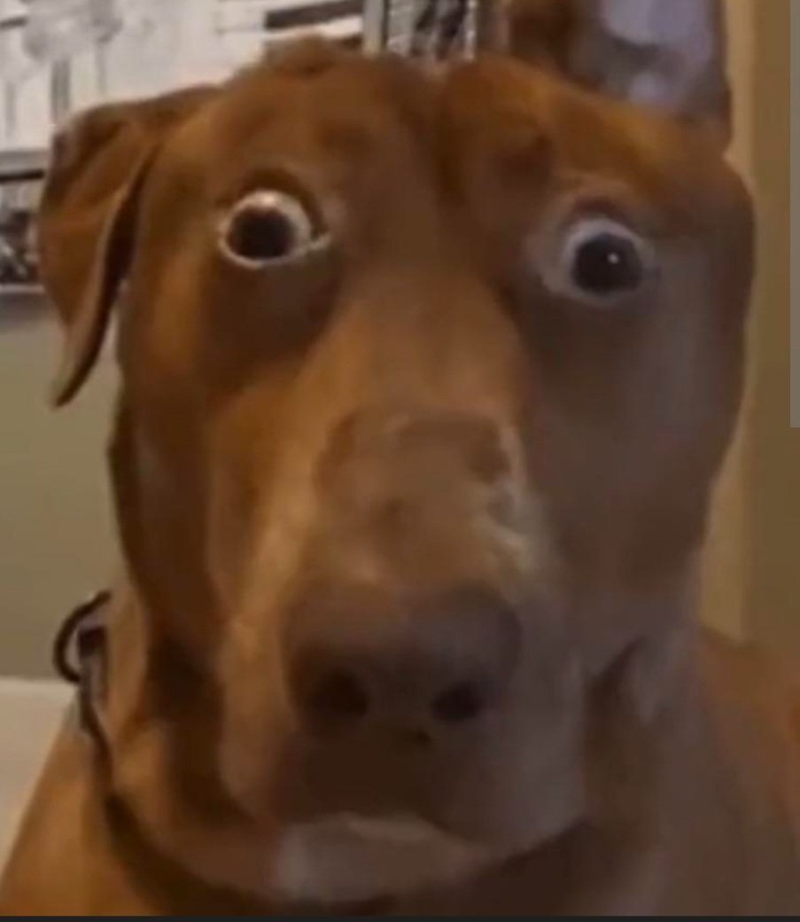 Mi humilde y honesta reacción cuando no consigo cerrarle el set a Pitikla en game 3 y me dice game 4 que va Olimar: