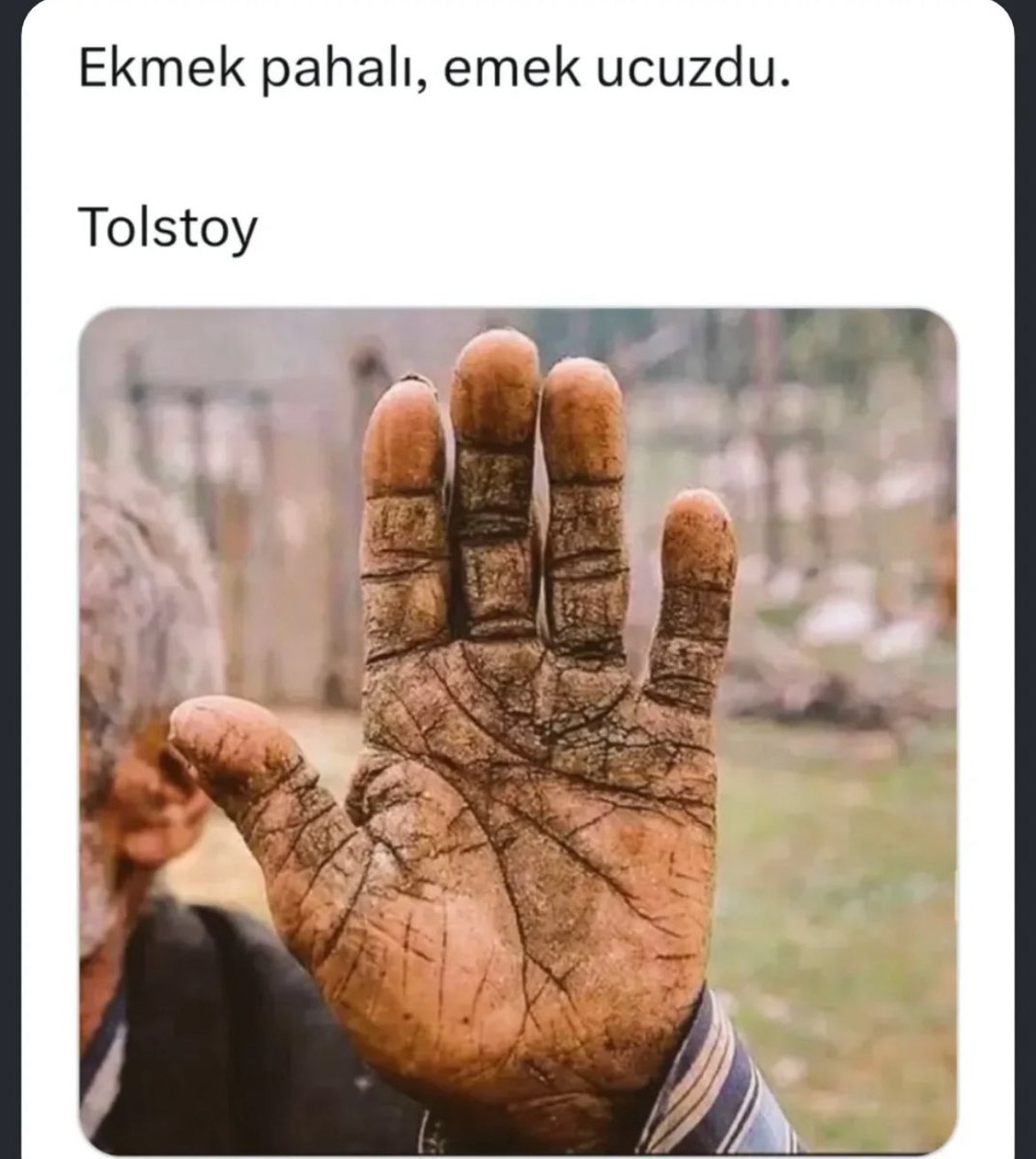 hasanpasa (@hasanbatu) on Twitter photo 