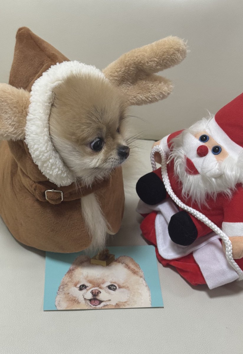 多分、プレゼント失くしたとか内緒話してる