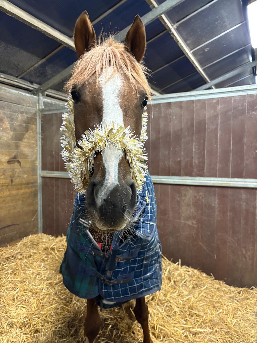 Mick Appleby Racing tweet media