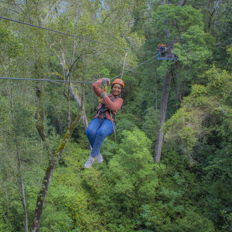 CanopyTourSA's tweet photo. Why walk when you can FLY?

Get your outdoor fix with a shot of adrenalin! It's an intense rush that'll make you feel fully alive 💪 https://t.co/JzKX5TSCCu