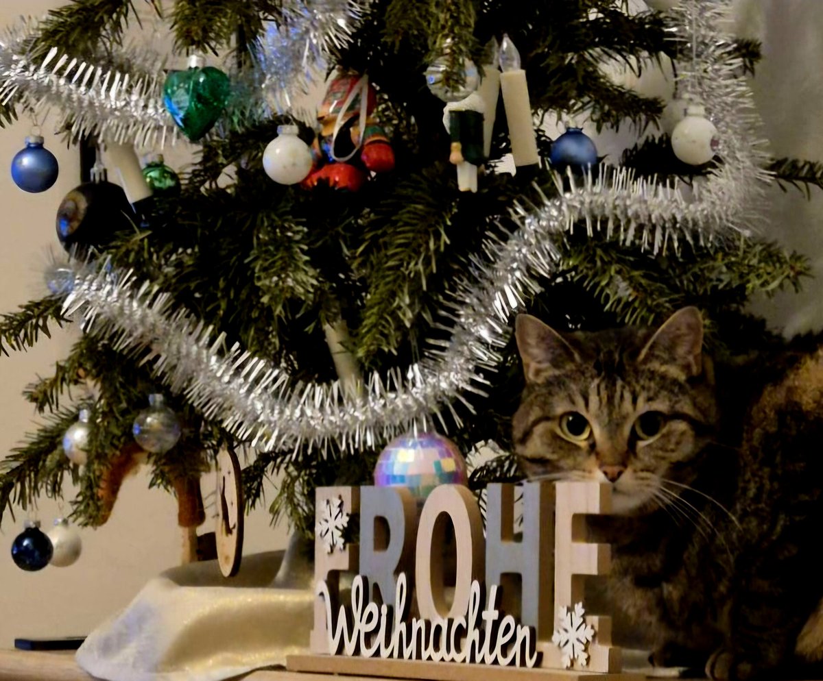 Marcus Holzer tweet media