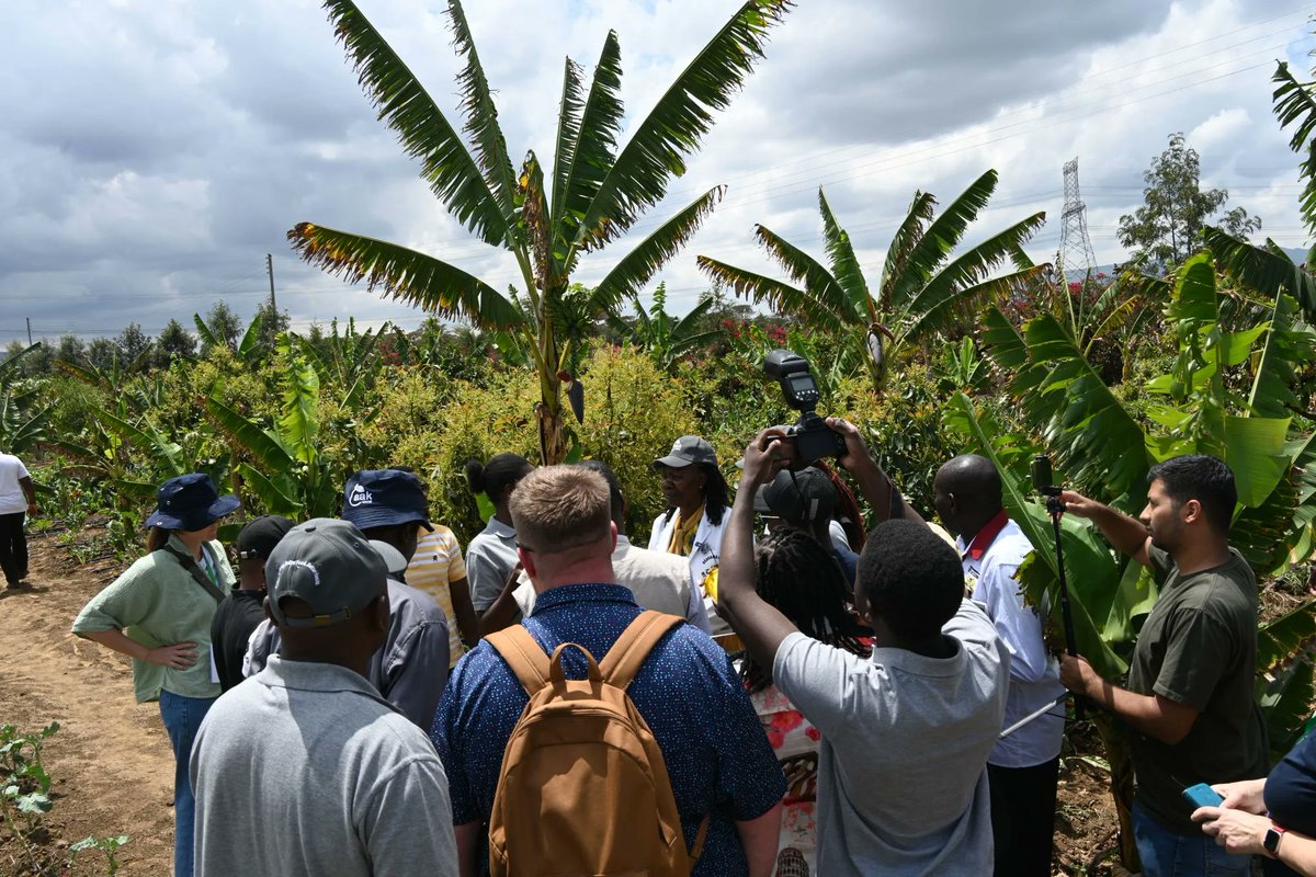 MESHA Science tweet media