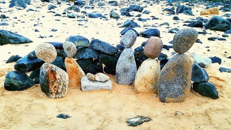 Jeremy Harris tweet media