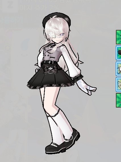 이건 제 젬블리쓰입니다