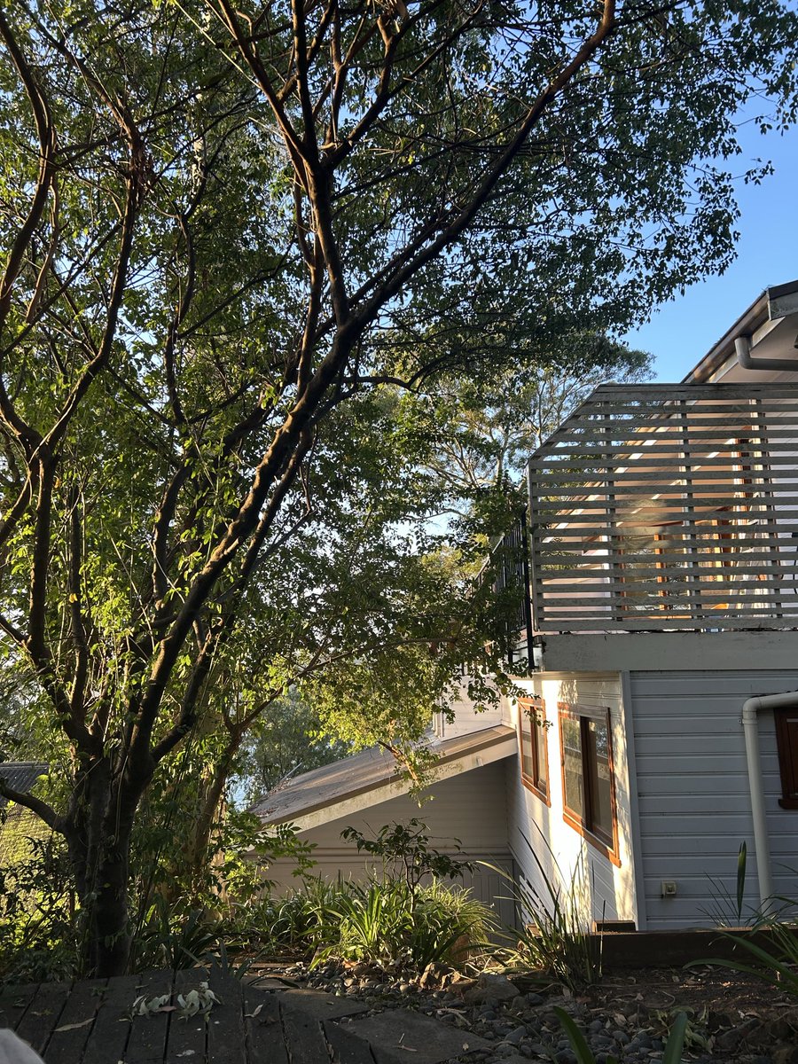 Immaculate reading spot