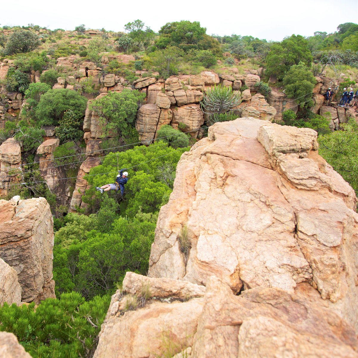 CanopyTourSA's tweet photo. Why walk when you can FLY?

Get your outdoor fix with a shot of adrenalin! It's an intense rush that'll make you feel fully alive 💪 https://t.co/JzKX5TSCCu