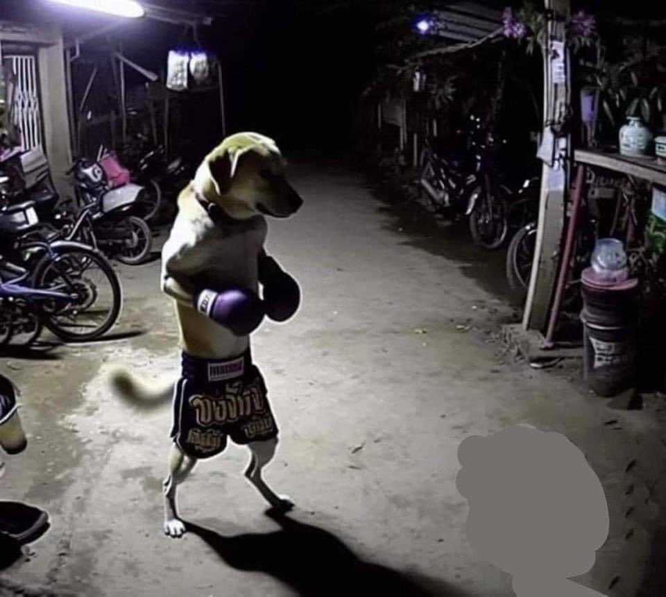 me at 3am after realizing i need to lock tf in