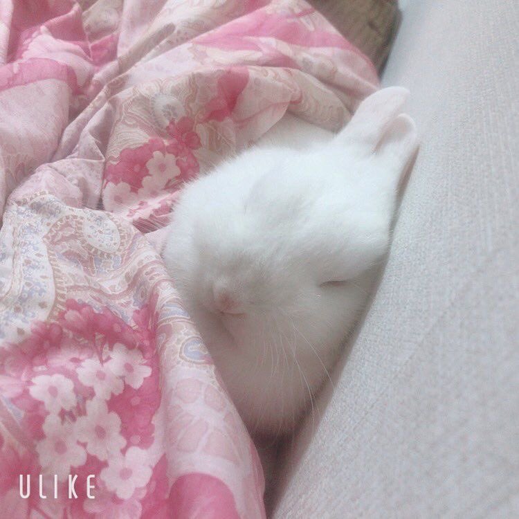 아ㅠㅠ
엄총사랑해