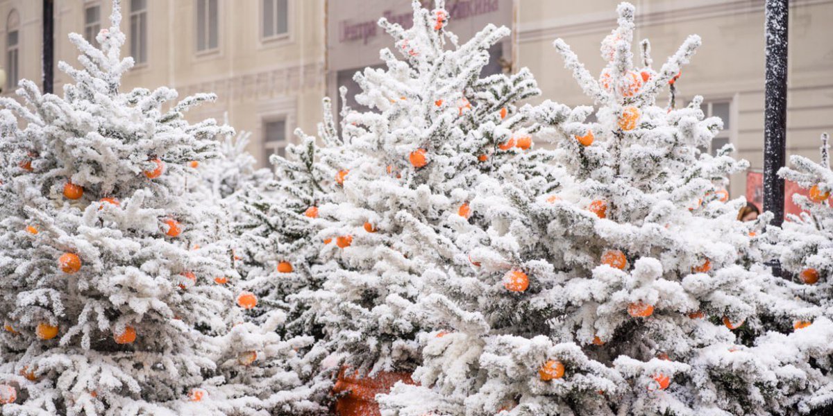 RusEmbassyJ's tweet image. 🍊「冬のモスクワ」プロジェクト一環で、スタールイ・アルバート通りが「みかん天国」に姿を変えました。ロシアの新年に欠かせない存在のみかんに、通りの至るところで出会えます。

詳しく🔗facebook.com/share/p/1HtQXk…