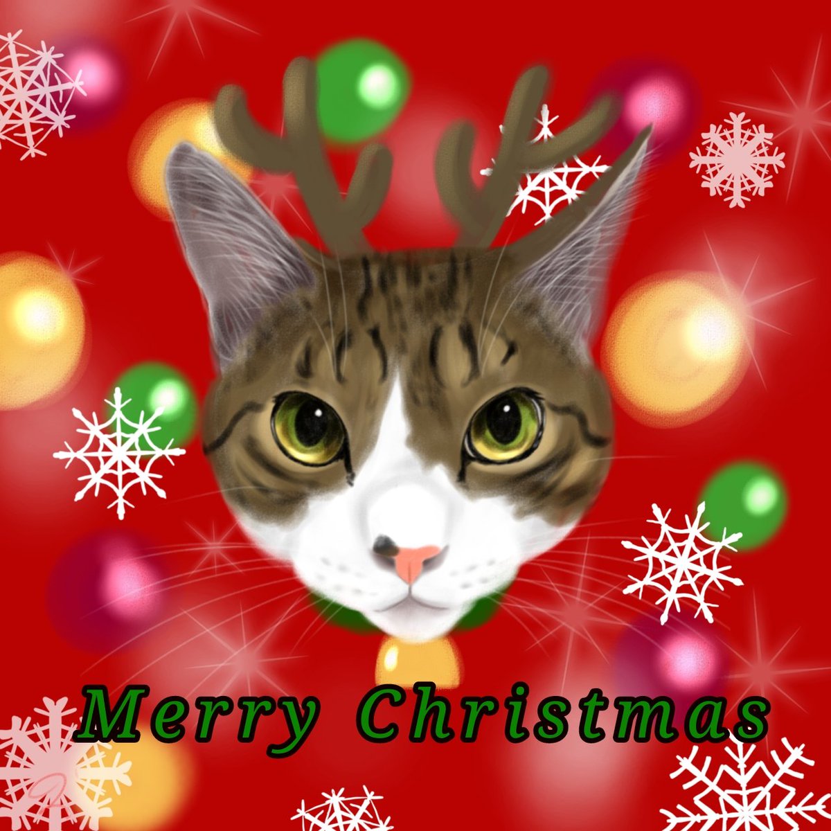 のぶりん (@Nana7Poirot1) / Posts / X