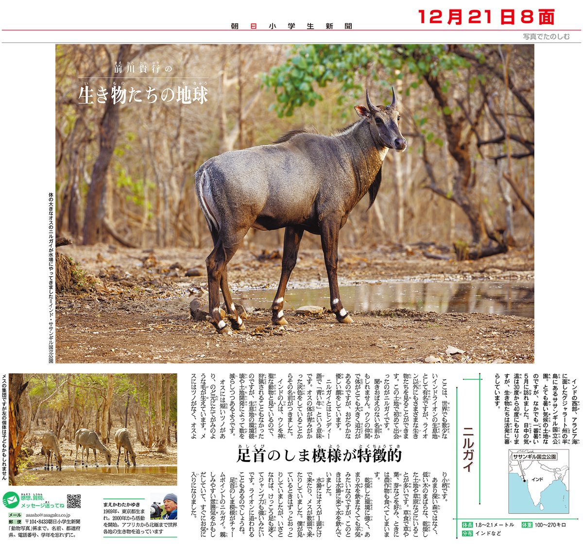 前川貴行 (@TakayukiMaekawa) / Posts / X