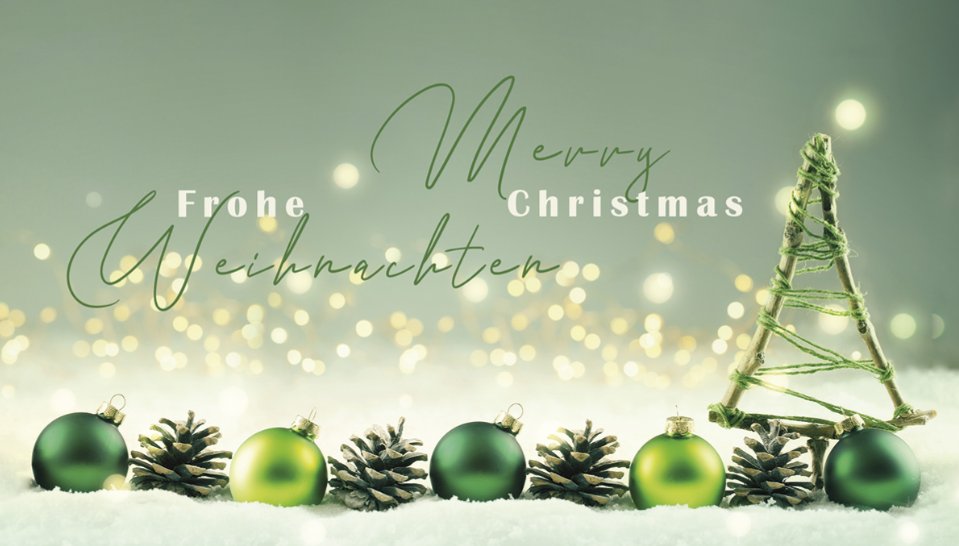 Wir wünschen euch und euren Familien frohe Weihnachten und alles Gute für das neue Jahr! Genießt die Zeit mit euren Liebsten 🖤🤍💚🎄