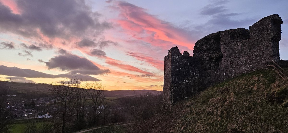 Suzie Fisher tweet media