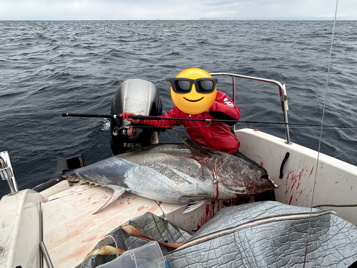 うーたんৡ tweet media