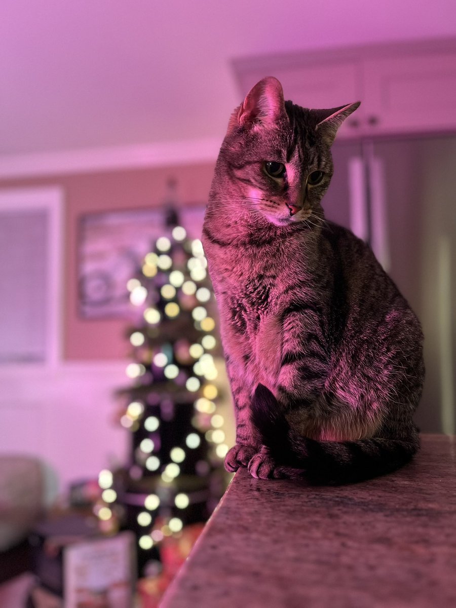 Randy Rhides tweet media