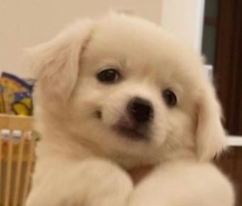 Hwa_hyuk09's tweet image. #정우 #JUNGWOO