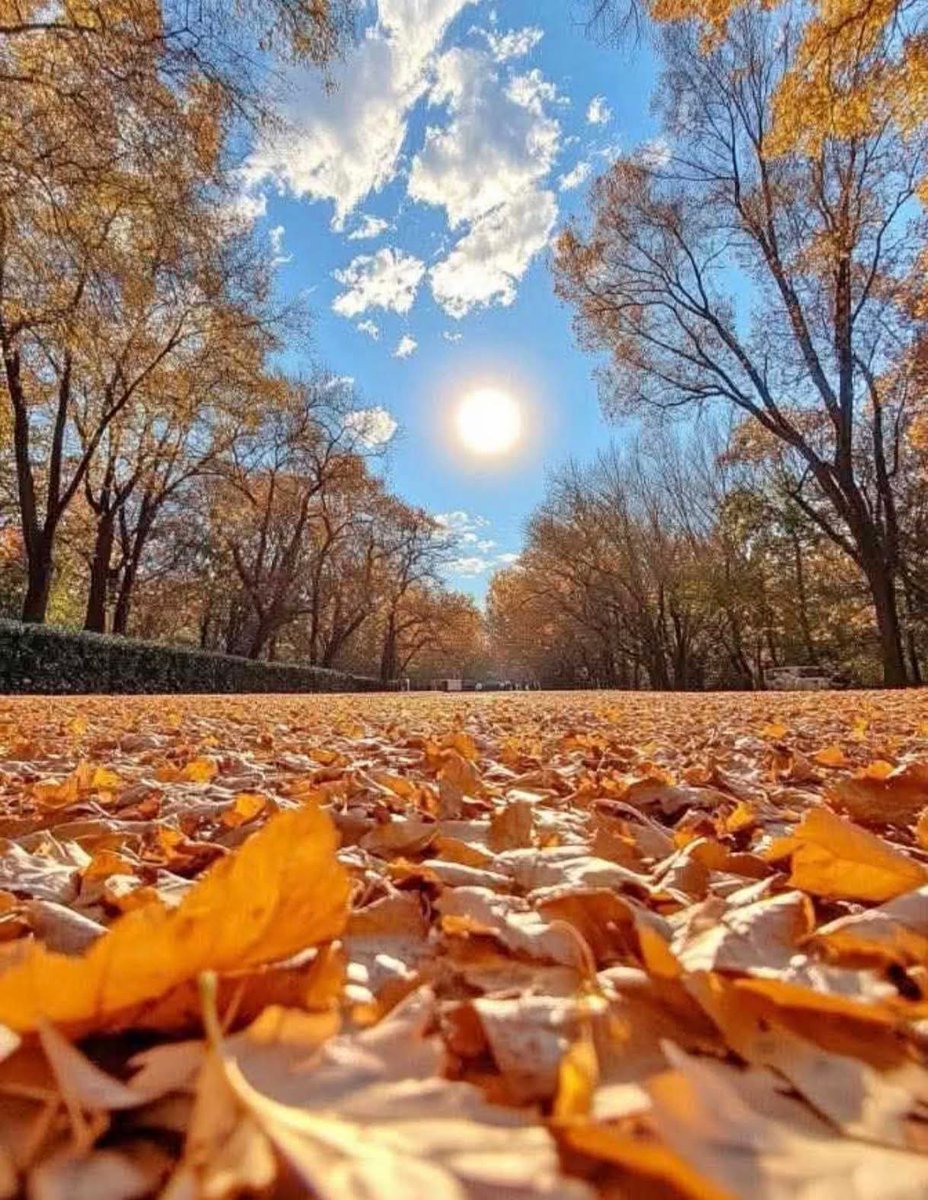 Günaydınlar Güzel Bir Güne.☕🍫🎼