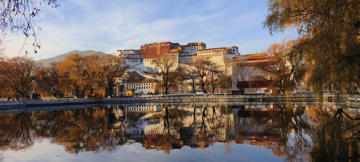 0xCrypto巫师💢 tweet media