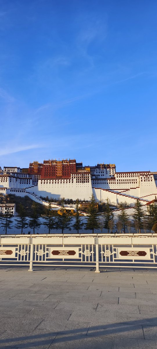 0xCrypto巫师💢 tweet media