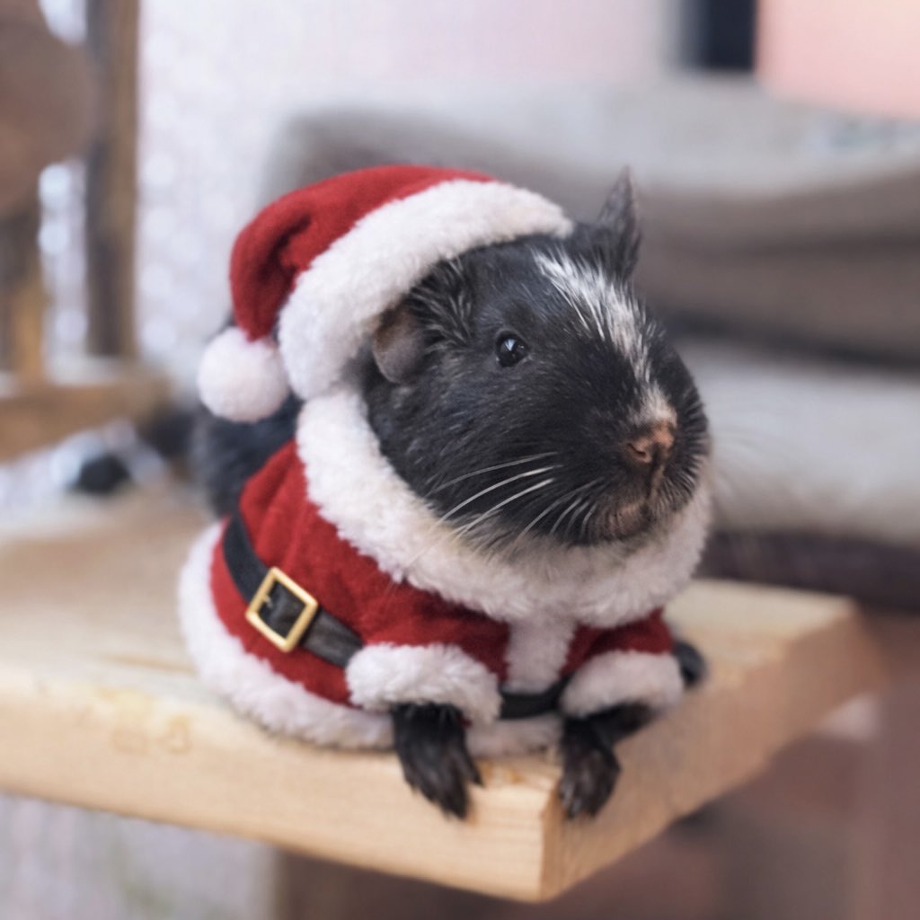 ヨ*ー様 キズ 来夢 CD ヨ*ー様 キズ 来夢 CD ヨ*ー様 キズ 来夢 CD ヴィジュアル系 キズ 来夢