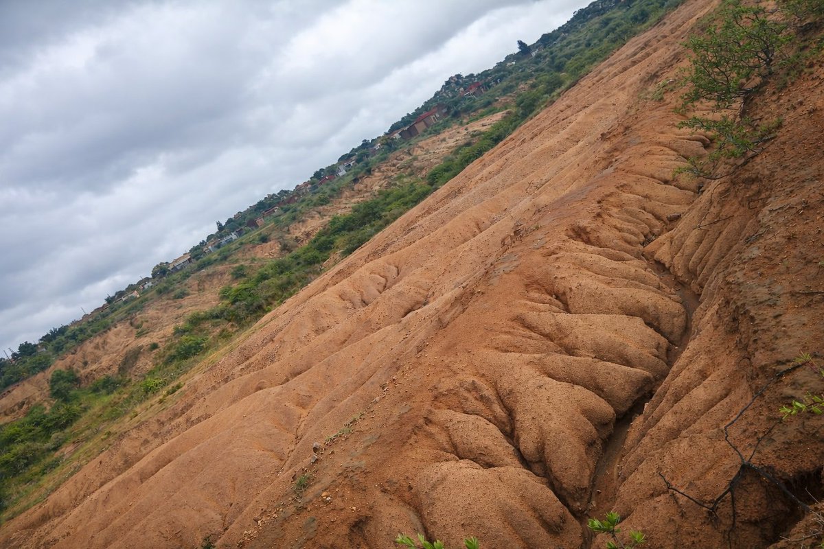 therealsseome's tweet photo. The soil profile is breached, subsoil exposed, and degradation becomes self-reinforcing.
Often, this is not natural failure, but unmanaged development and altered drainage without soil-informed planning.
Soil resilience has limits.
Once exceeded, recovery is slow and costly. https://t.co/QbriULlFke