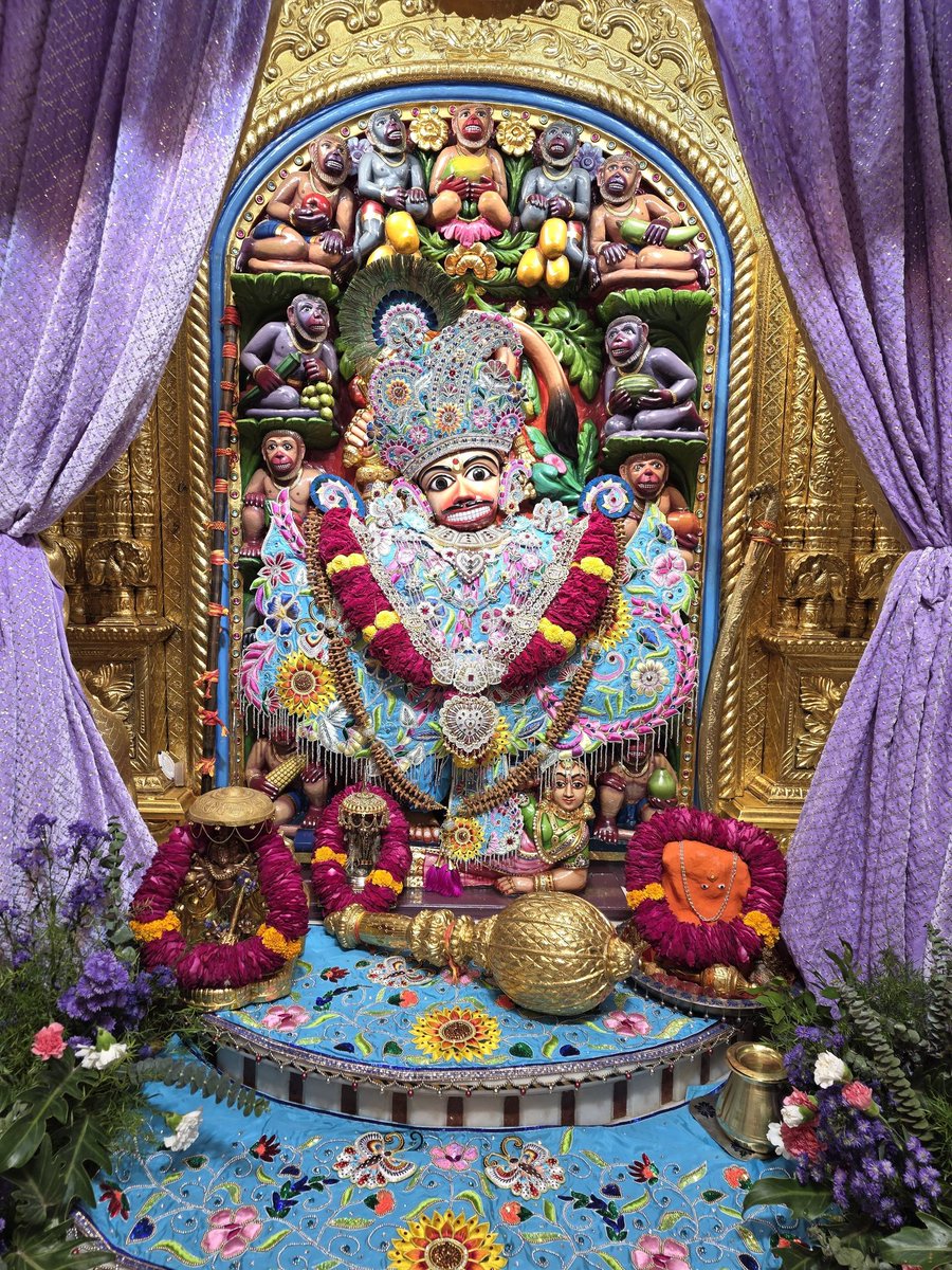sarangpur Hanuman Ji tweet media