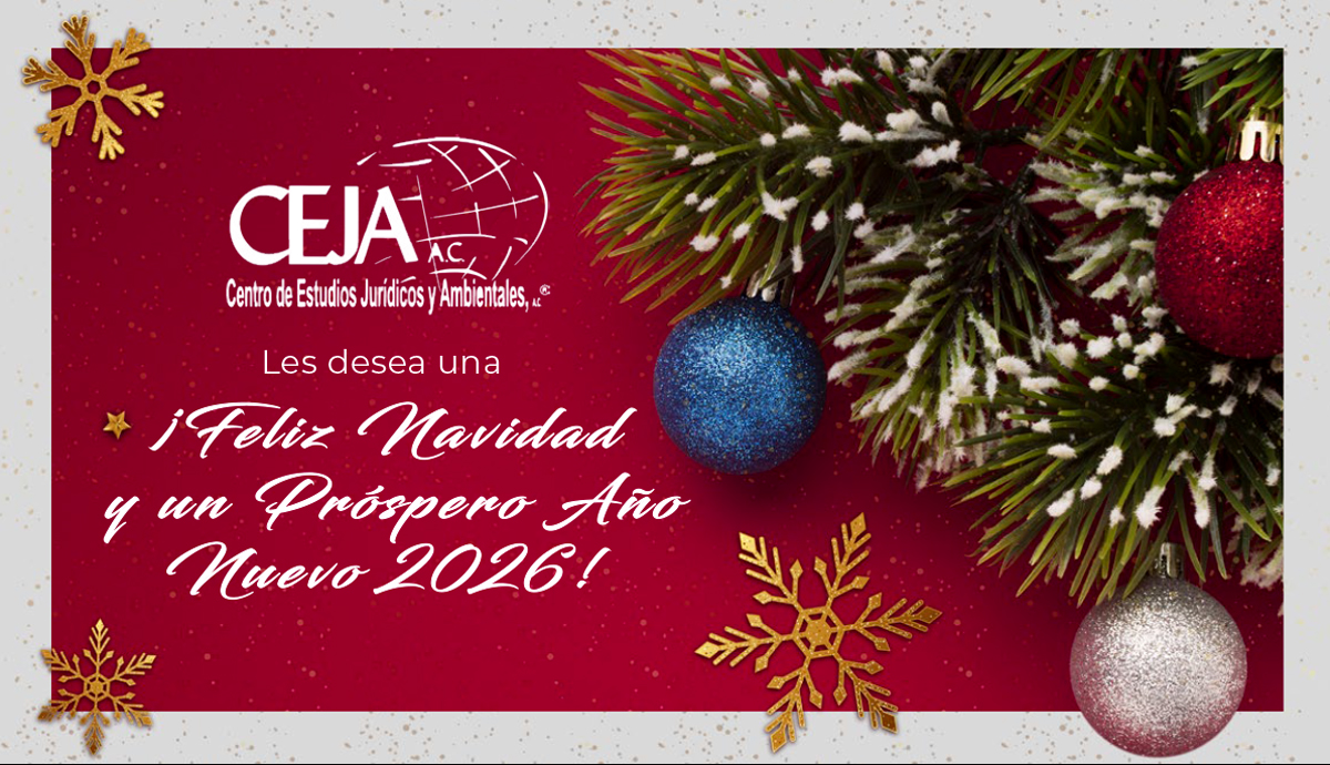 CEJA, A.C. tweet media