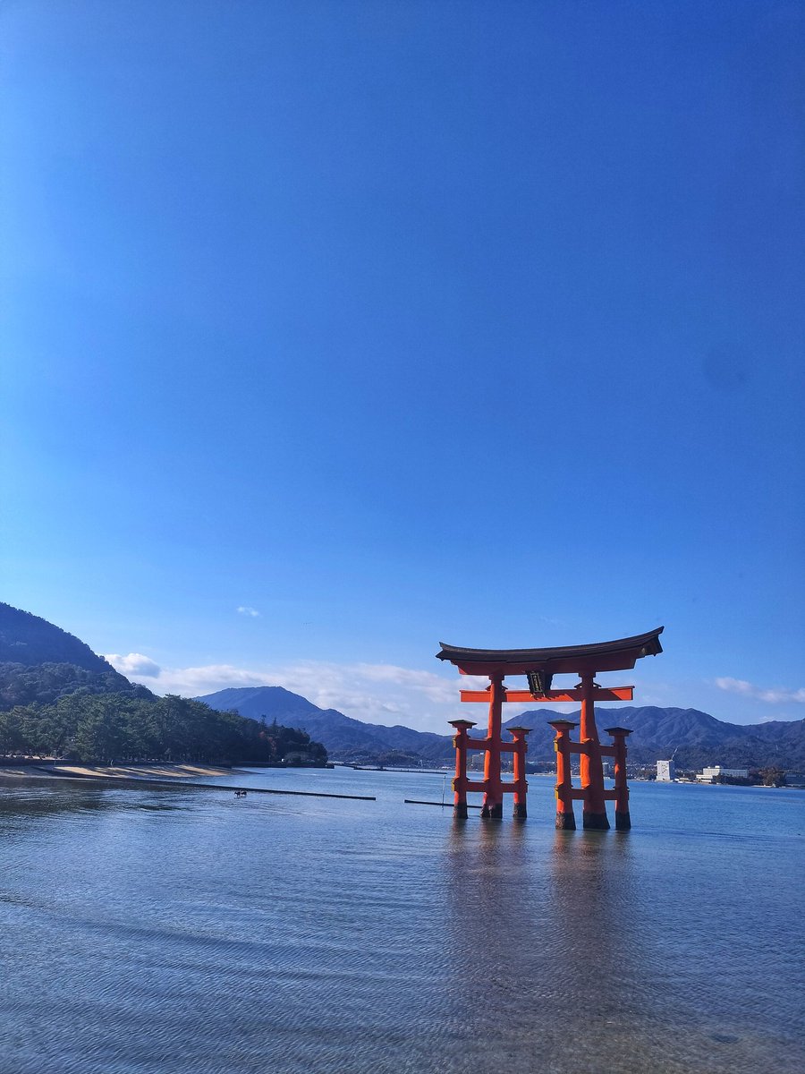 タニミキ🧘♀️新潟ヨガ tweet media