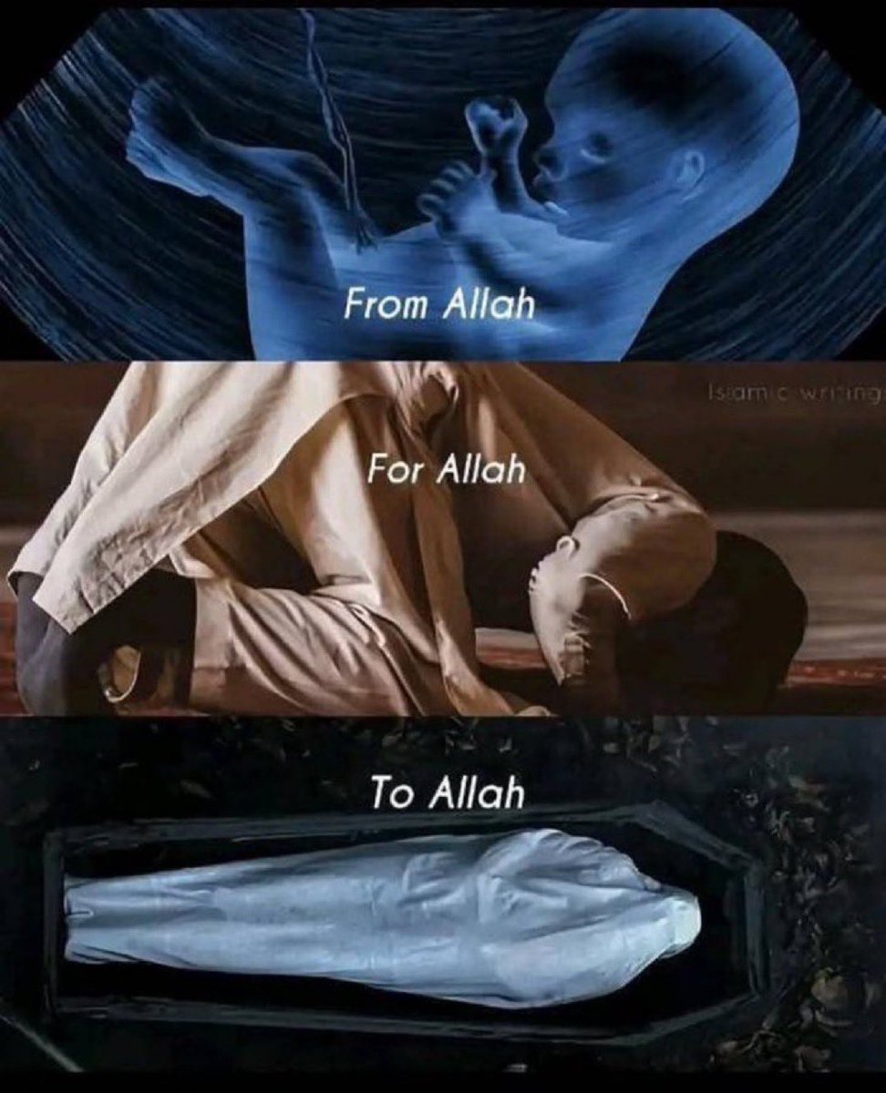 aiishadahir's tweet image. 