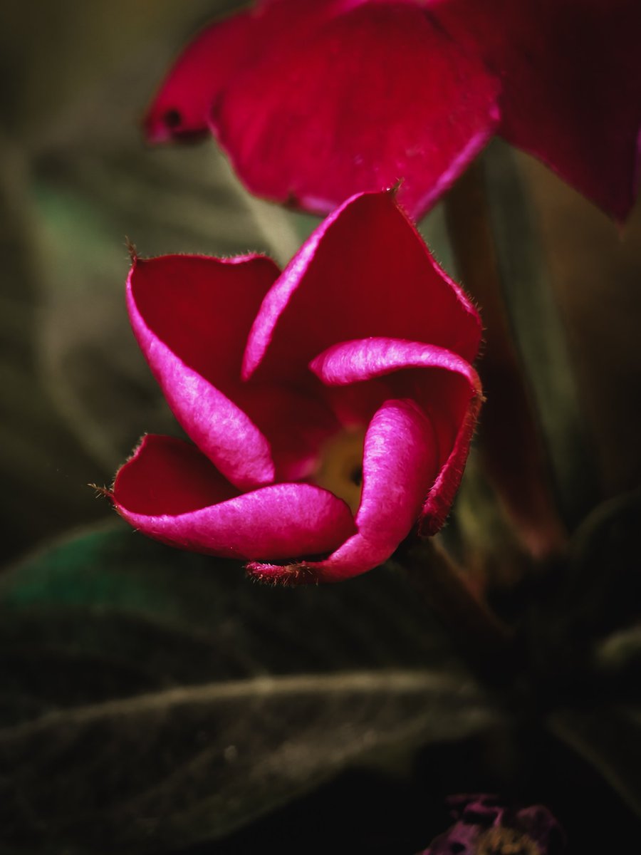Paritosh_33's tweet photo. Good morning
#T4Ultra https://t.co/YtXkCWM8rs